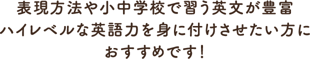 表現方法や小中学校で習う英文が豊富 ハイレベルな英語力を身に付けさせたい方におすすめです！